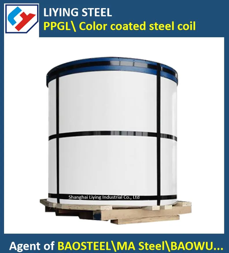 High-Quality PPGI PPGL Coils at Low Prices from China – Ideal for Construction