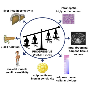 Density of GI and weight loss: Is there a connection?