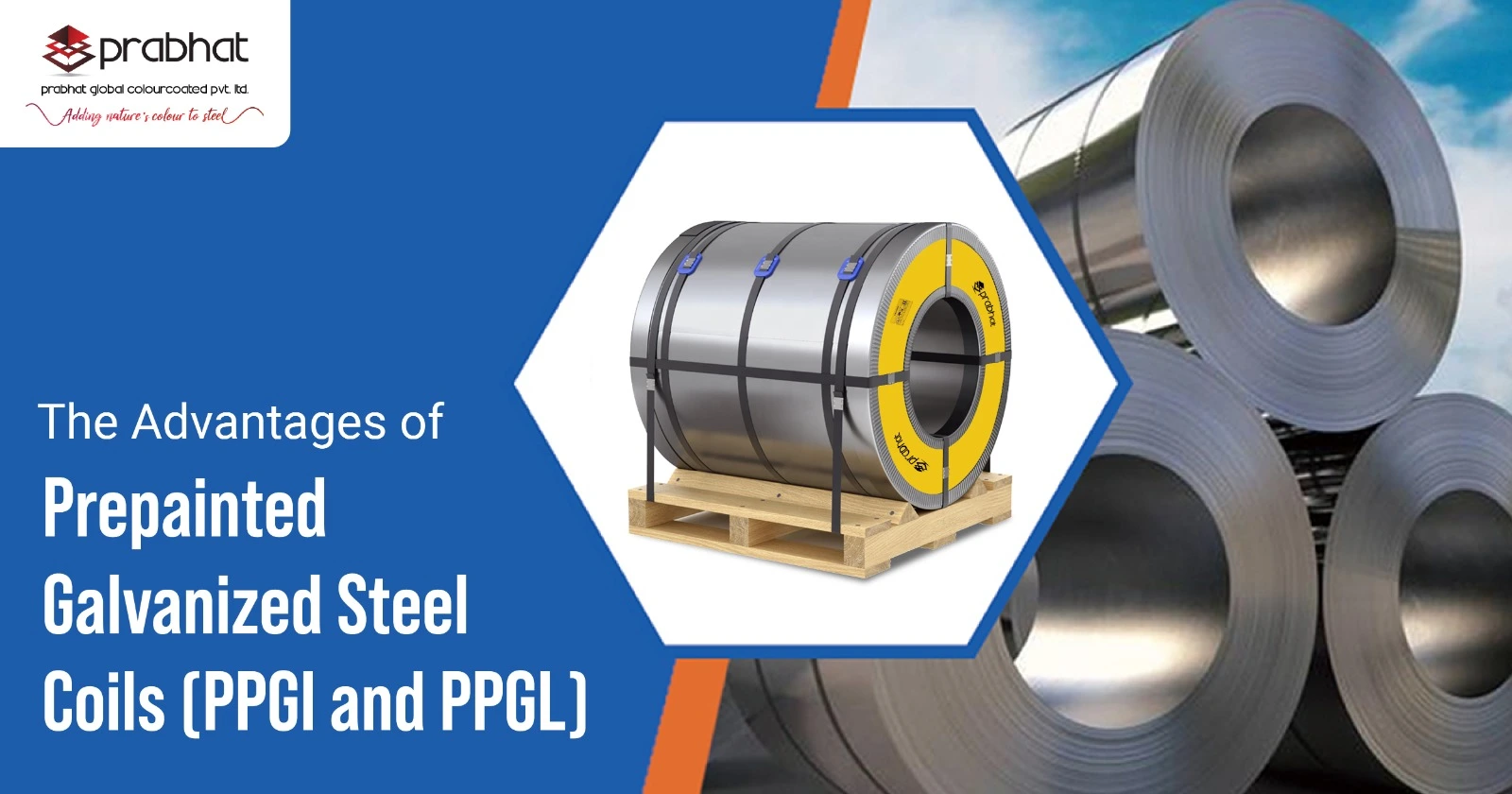 Need Cheap Prepainted Steel Coil? Here Are Your Options